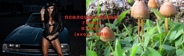 кокс Бородино