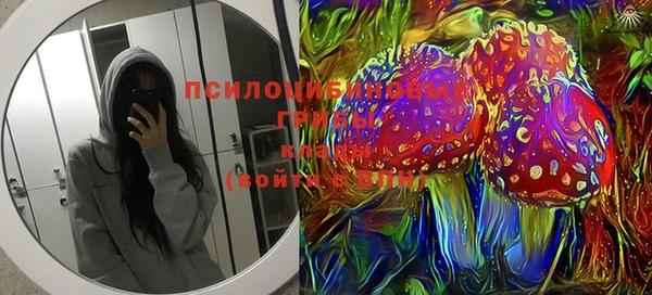 амф Бронницы