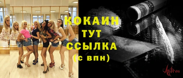 амф Бронницы