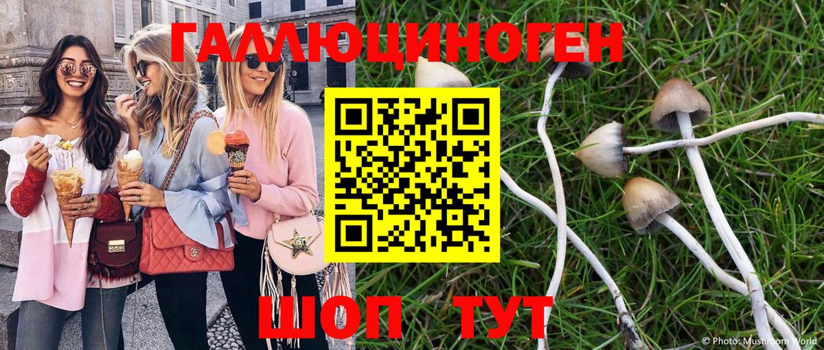 Галлюциногенные грибы мицелий  Вход с VPN  Рузаевка 